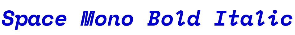 Space Mono Bold Italic フォント